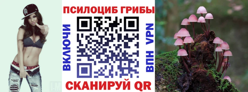 Галлюциногенные грибы MAGIC MUSHROOMS  Северобайкальск 